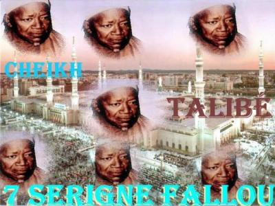 serigne falou