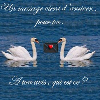 message
